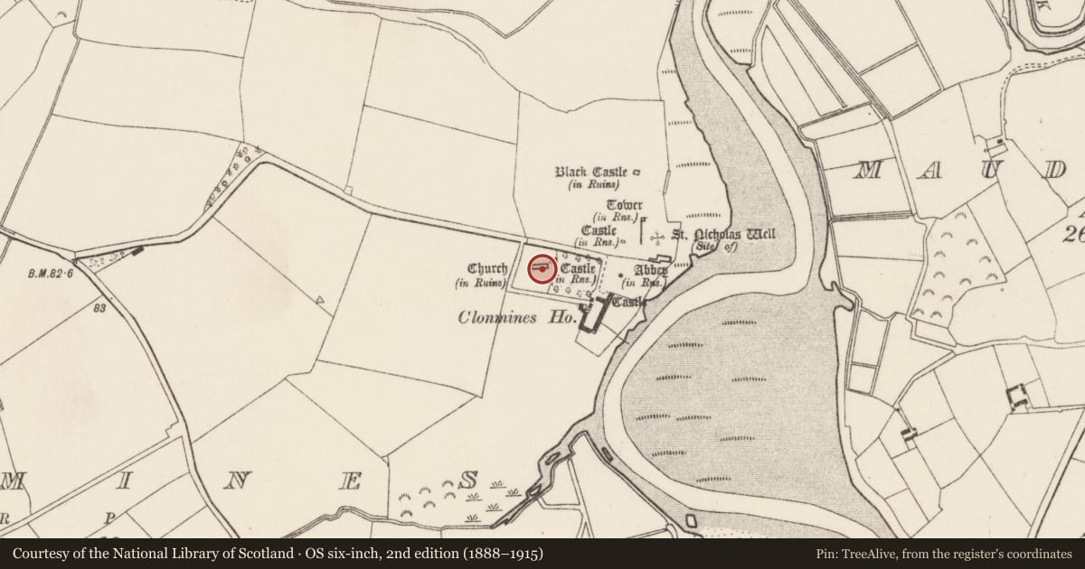 Ordnance Survey six-inch map, 2nd edition (1888–1915) covering the location of Church, Clonmines, County Wexford, with a pin at the register's coordinates