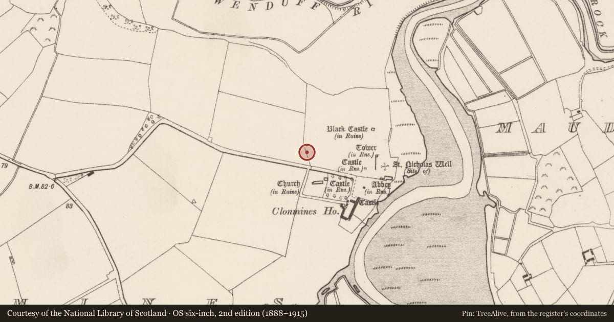 Ordnance Survey six-inch map, 2nd edition (1888–1915) covering the location of Town defences, Clonmines, County Wexford, with a pin at the register's coordinates