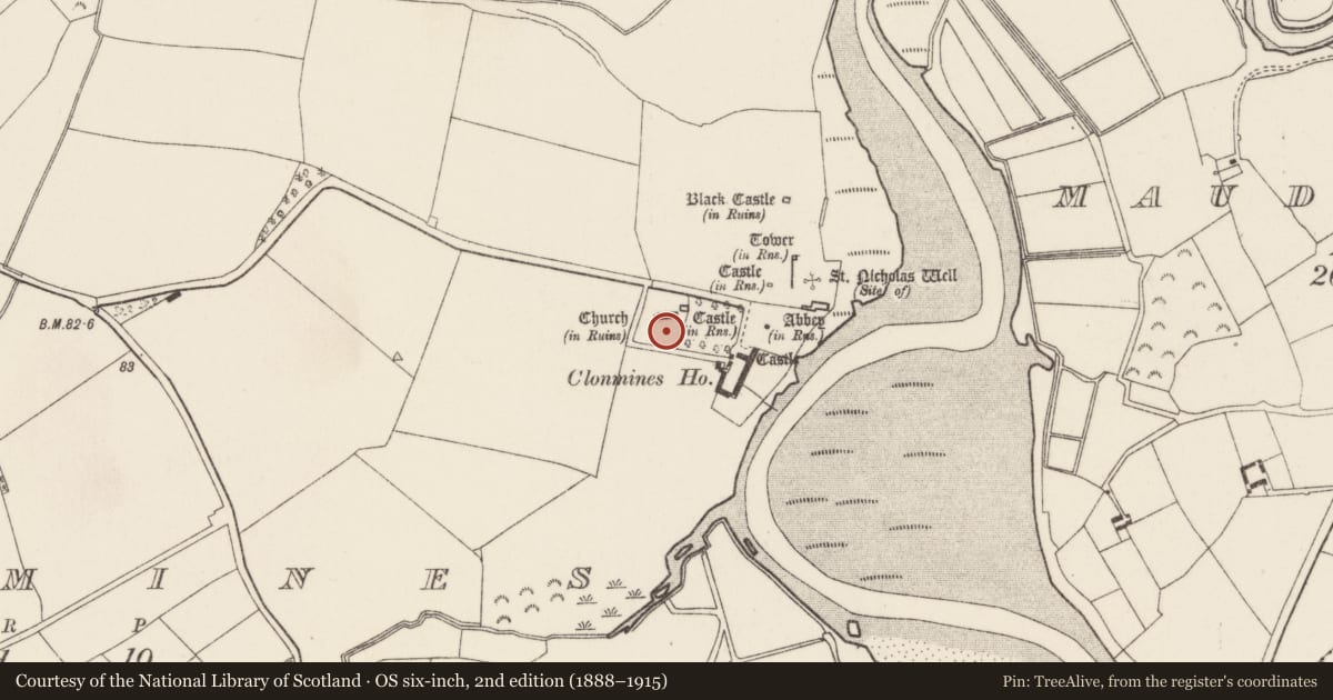 Ordnance Survey six-inch map, 2nd edition (1888–1915) covering the location of Graveyard, Clonmines, County Wexford, with a pin at the register's coordinates