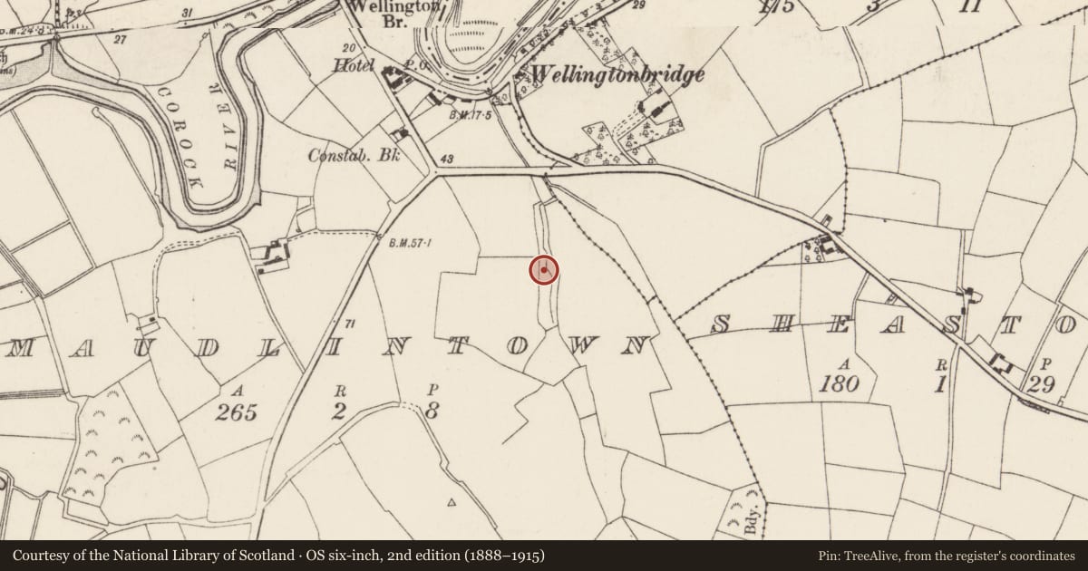 Ordnance Survey six-inch map, 2nd edition (1888–1915) covering the location of Bullaun stone (present location), Maudlintown, County Wexford, with a pin at the register's coordinates