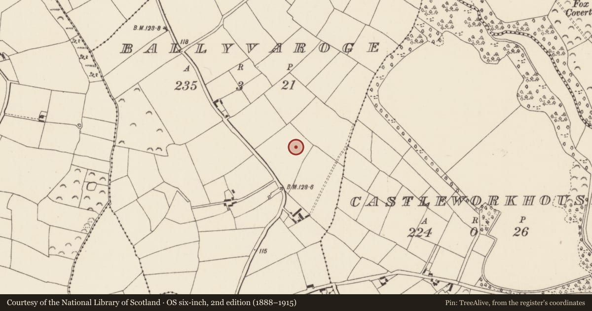 Ordnance Survey six-inch map, 2nd edition (1888–1915) covering the location of Ringfort - rath, Ballyvaroge, County Wexford, with a pin at the register's coordinates