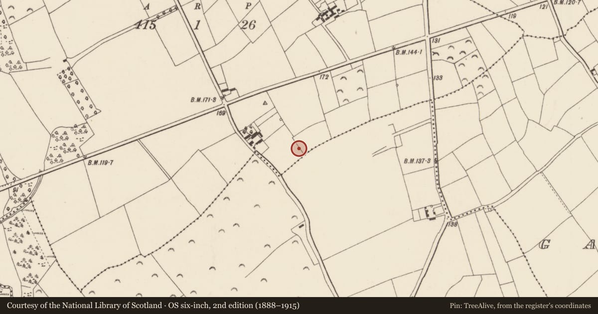 Ordnance Survey six-inch map, 2nd edition (1888–1915) covering the location of Ringfort - rath, Curraghmore, Tintern, County Wexford, with a pin at the register's coordinates