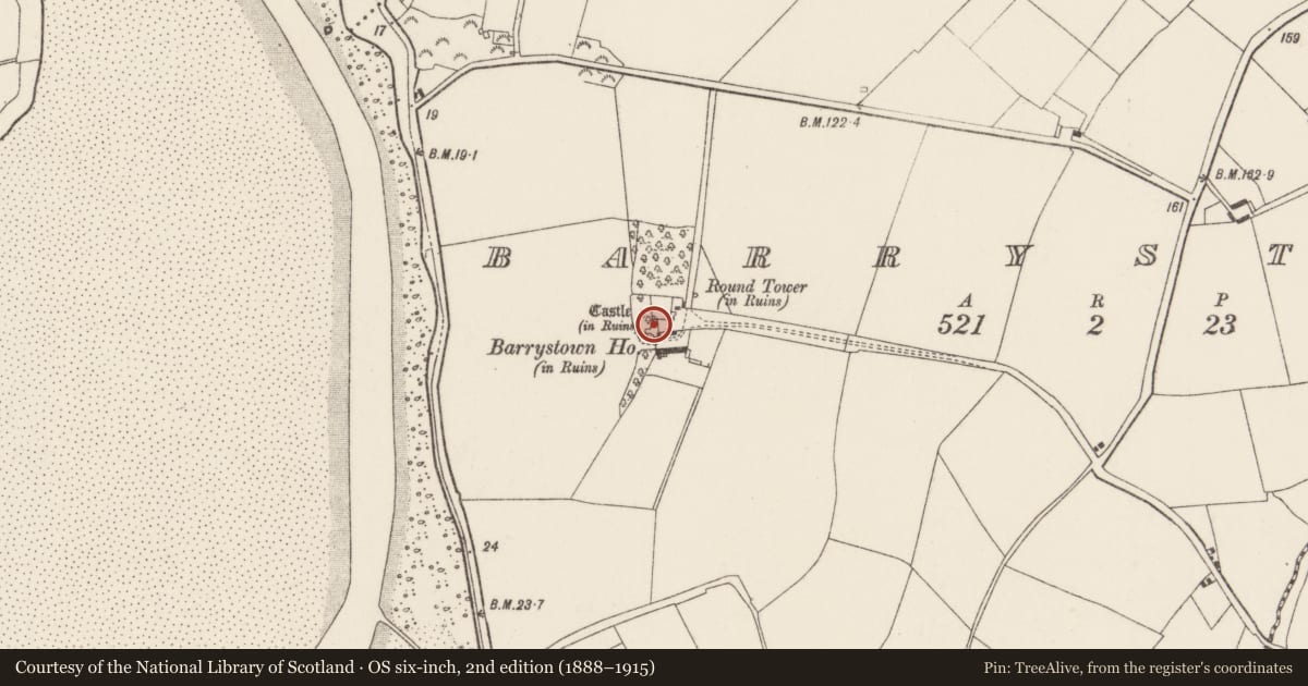 Ordnance Survey six-inch map, 2nd edition (1888–1915) covering the location of Castle - tower house, Barrystown, County Wexford, with a pin at the register's coordinates