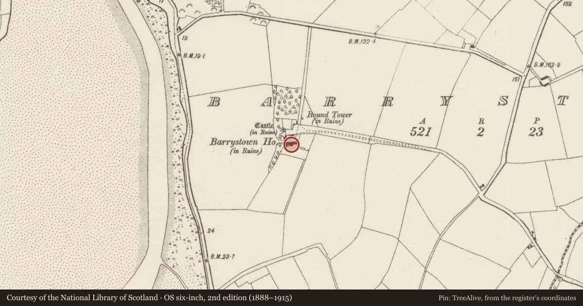 Ordnance Survey six-inch map, 2nd edition (1888–1915) covering the location of House - 18th/19th century, Barrystown, County Wexford, with a pin at the register's coordinates