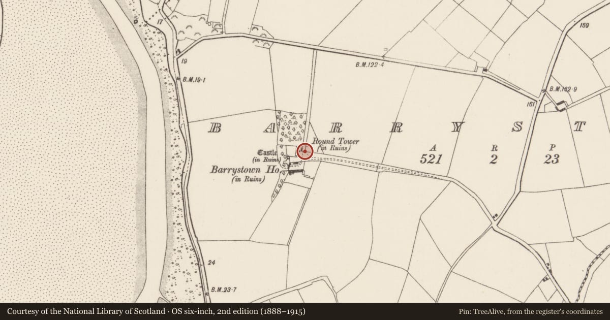 Ordnance Survey six-inch map, 2nd edition (1888–1915) covering the location of Structure, Barrystown, County Wexford, with a pin at the register's coordinates