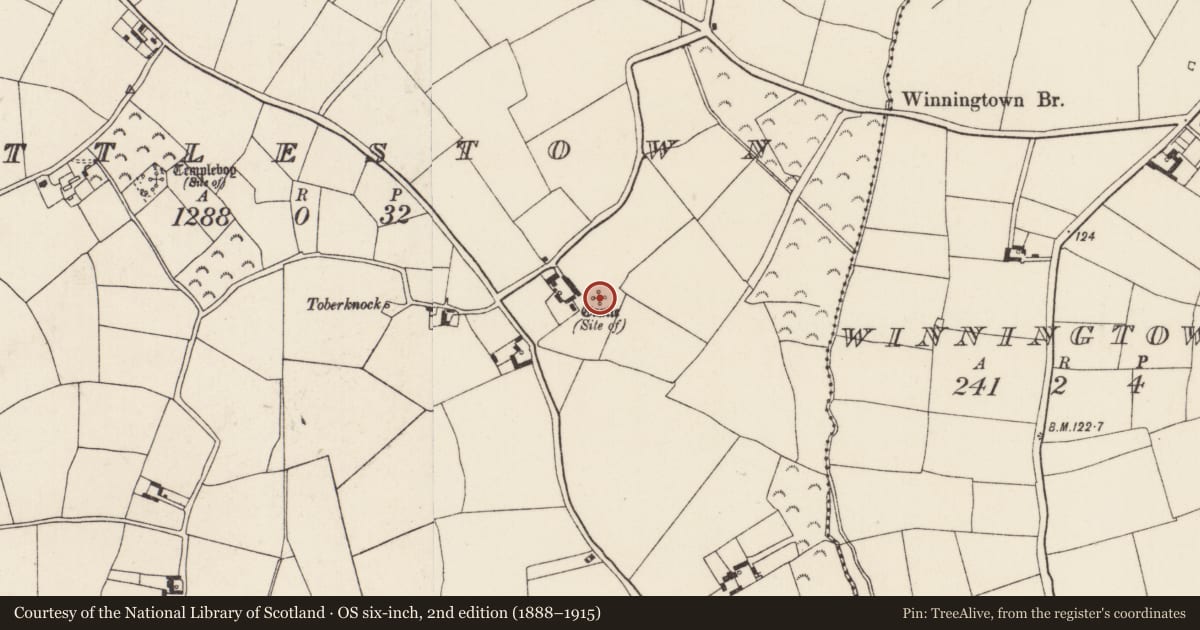 Ordnance Survey six-inch map, 2nd edition (1888–1915) covering the location of Castle - unclassified, Battlestown, County Wexford, with a pin at the register's coordinates