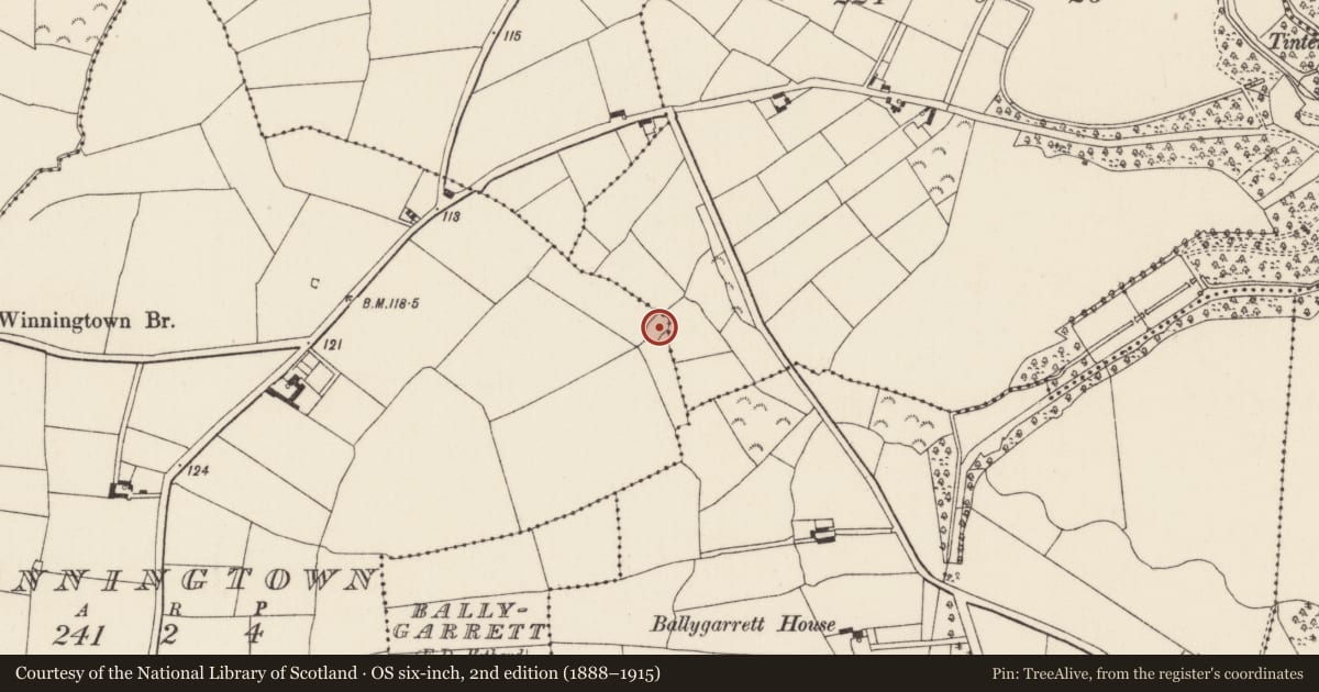 Ordnance Survey six-inch map, 2nd edition (1888–1915) covering the location of Ringfort - rath, Castleworkhouse, Winningtown, County Wexford, with a pin at the register's coordinates