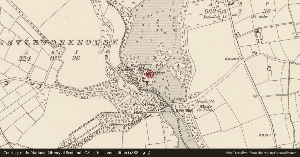 Ordnance Survey six-inch map, 2nd edition (1888–1915) covering the location of Graveslab, Tintern, County Wexford, with a pin at the register's coordinates