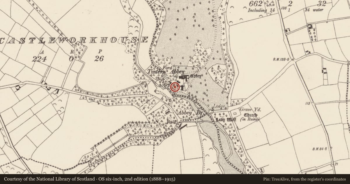 Ordnance Survey six-inch map, 2nd edition (1888–1915) covering the location of Bridge, Tintern, County Wexford, with a pin at the register's coordinates
