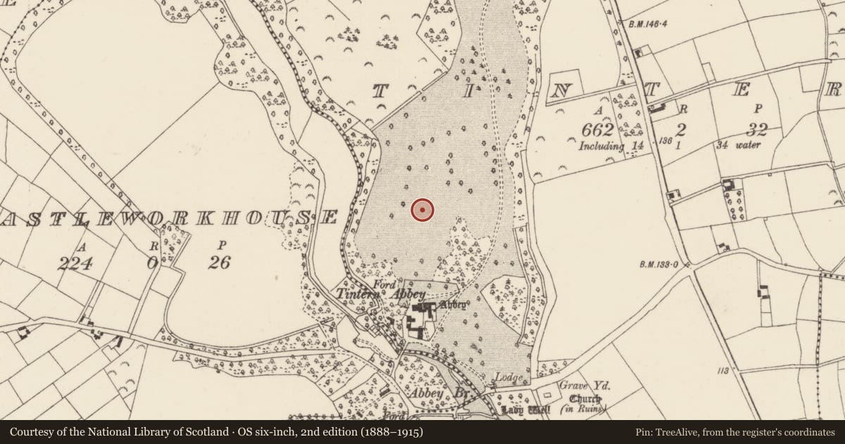 Ordnance Survey six-inch map, 2nd edition (1888–1915) covering the location of Field system, Tintern, County Wexford, with a pin at the register's coordinates
