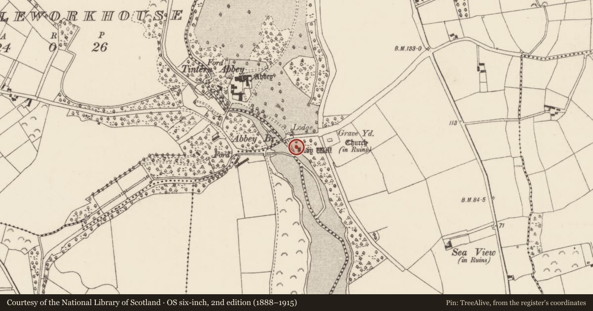 Ordnance Survey six-inch map, 2nd edition (1888–1915) covering the location of Ritual site - holy well, Tintern, County Wexford, with a pin at the register's coordinates