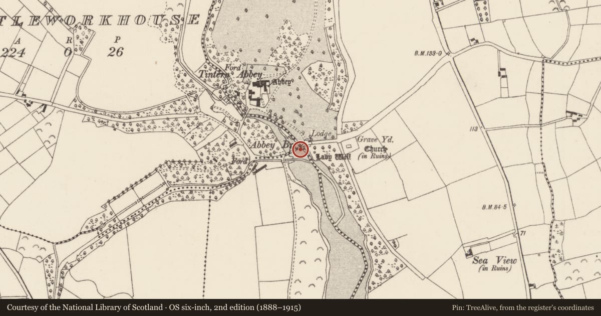 Ordnance Survey six-inch map, 2nd edition (1888–1915) covering the location of Bridge, Tintern, County Wexford, with a pin at the register's coordinates