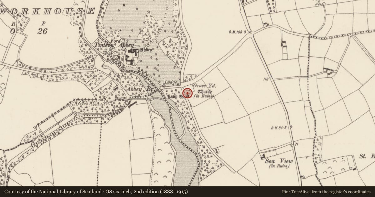 Ordnance Survey six-inch map, 2nd edition (1888–1915) covering the location of Graveyard, Tintern, County Wexford, with a pin at the register's coordinates