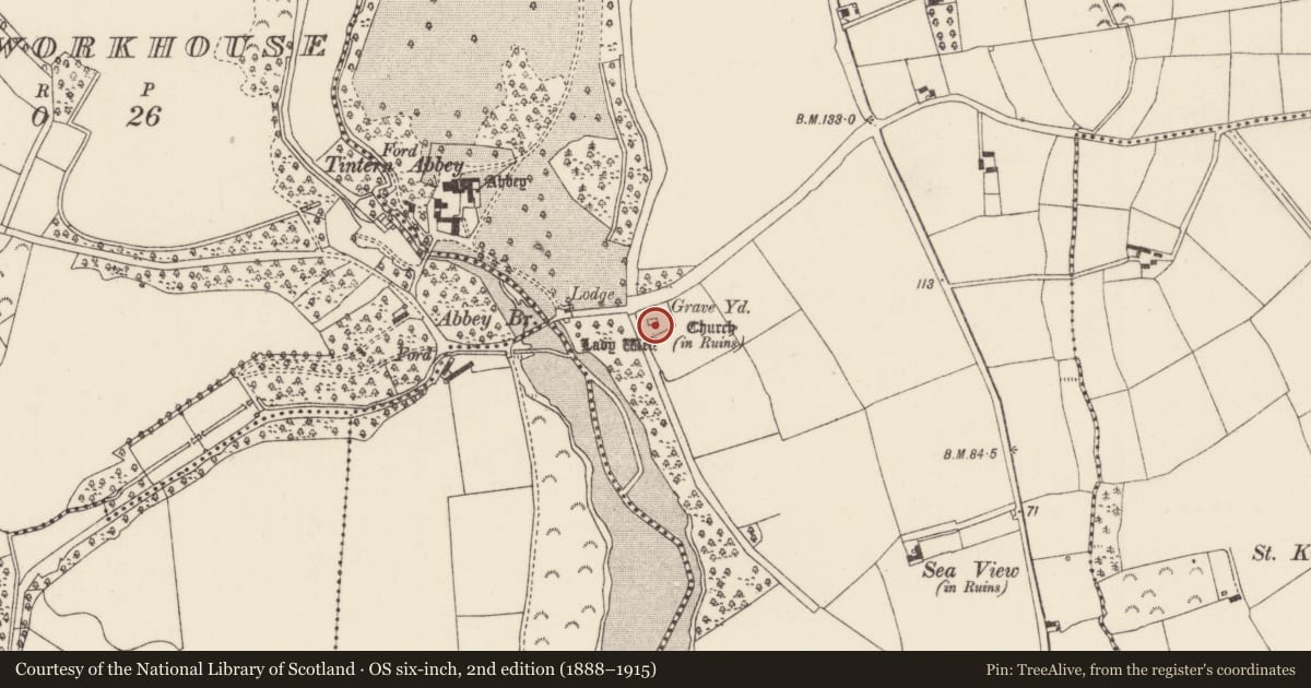 Ordnance Survey six-inch map, 2nd edition (1888–1915) covering the location of Graveslab, Tintern, County Wexford, with a pin at the register's coordinates