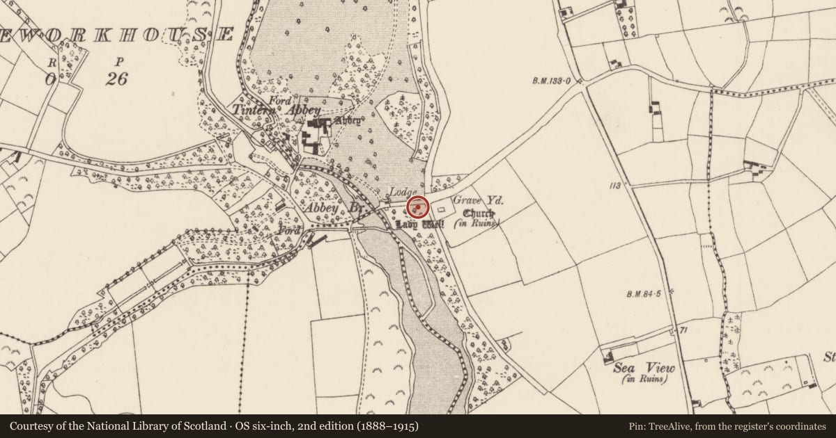 Ordnance Survey six-inch map, 2nd edition (1888–1915) covering the location of Architectural feature, Tintern, County Wexford, with a pin at the register's coordinates