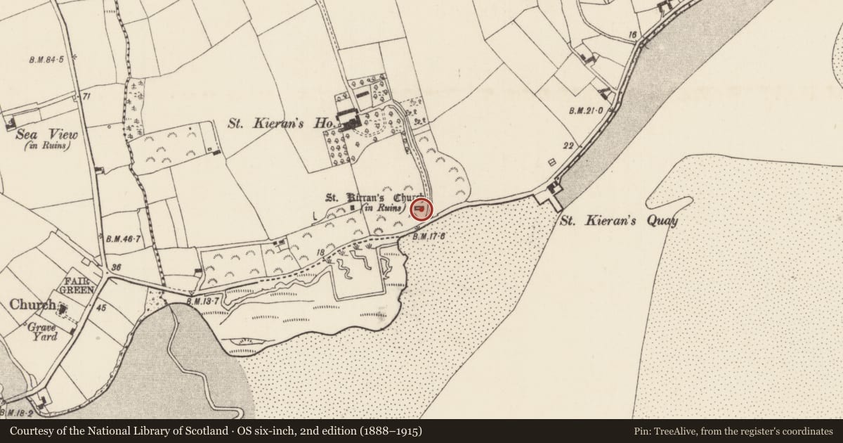 Ordnance Survey six-inch map, 2nd edition (1888–1915) covering the location of Church, Saintkierans, County Wexford, with a pin at the register's coordinates