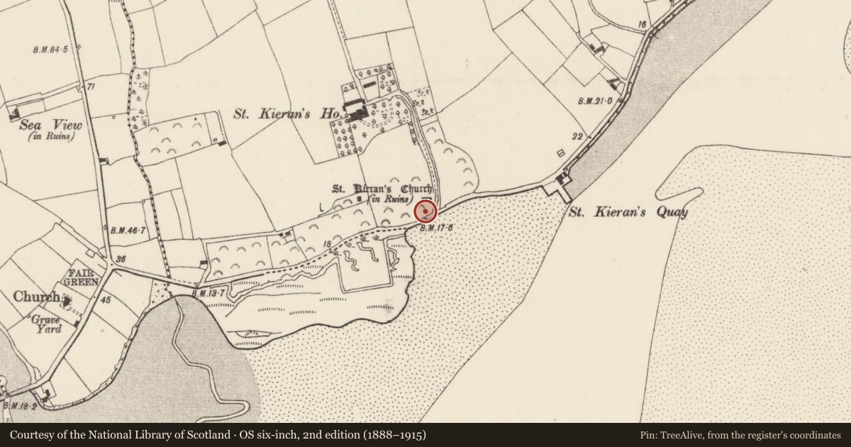 Ordnance Survey six-inch map, 2nd edition (1888–1915) covering the location of Road - road/trackway, Saintkierans, County Wexford, with a pin at the register's coordinates