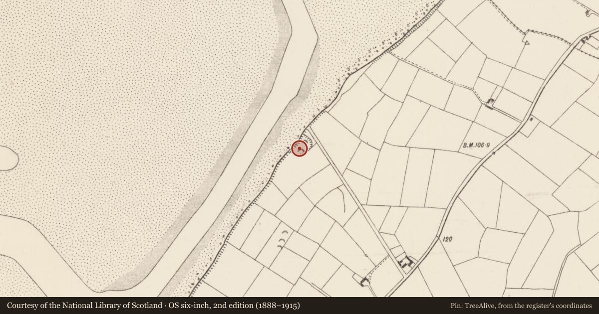 Ordnance Survey six-inch map, 2nd edition (1888–1915) covering the location of Enclosure, Newtown, County Wexford, with a pin at the register's coordinates