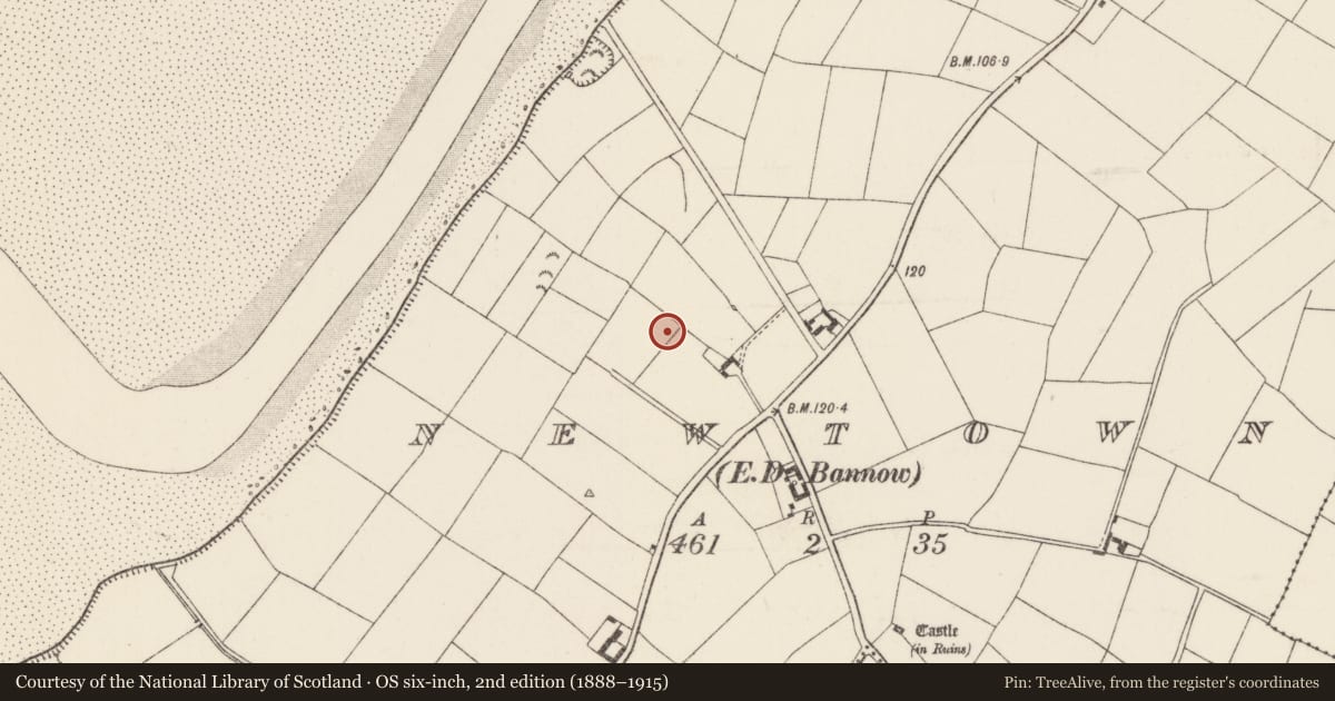 Ordnance Survey six-inch map, 2nd edition (1888–1915) covering the location of Ringfort - rath, Newtown, County Wexford, with a pin at the register's coordinates