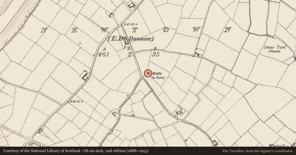 Ordnance Survey six-inch map, 2nd edition (1888–1915) covering the location of Castle - unclassified, Newtown, County Wexford, with a pin at the register's coordinates