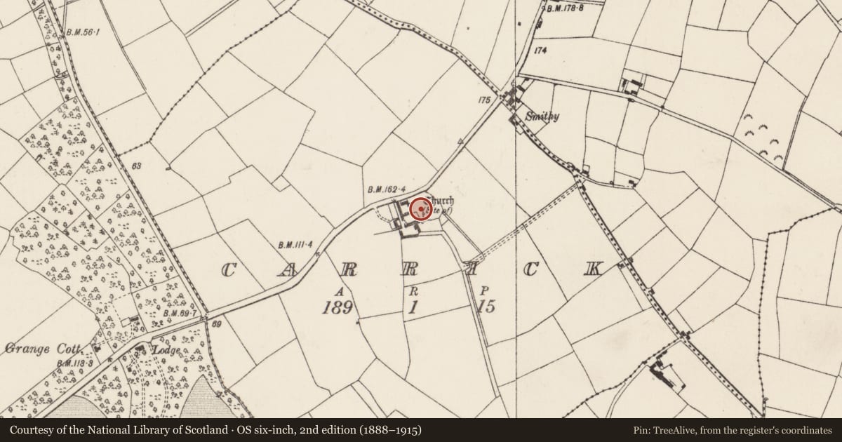 Ordnance Survey six-inch map, 2nd edition (1888–1915) covering the location of Graveyard, Carrick, County Wexford, with a pin at the register's coordinates