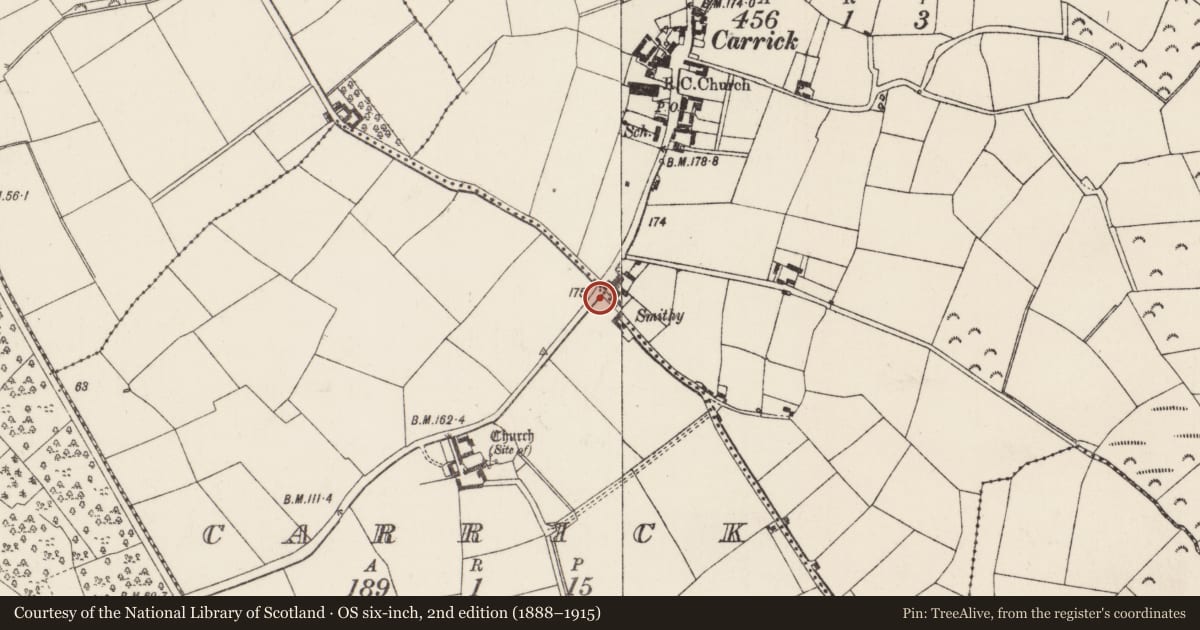 Ordnance Survey six-inch map, 2nd edition (1888–1915) covering the location of Cross (present location), Carrick, County Wexford, with a pin at the register's coordinates