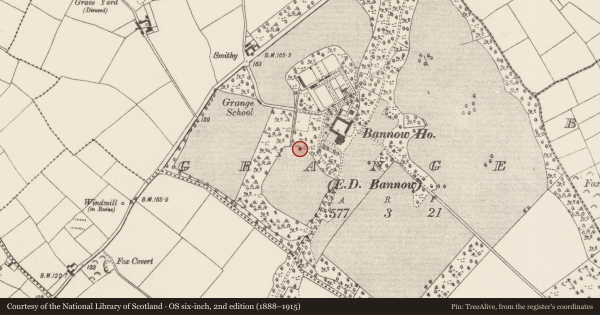 Ordnance Survey six-inch map, 2nd edition (1888–1915) covering the location of Ringfort - rath, Grange, County Wexford, with a pin at the register's coordinates