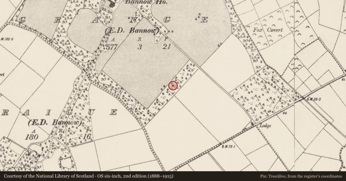 Ordnance Survey six-inch map, 2nd edition (1888–1915) covering the location of Ringfort - rath, Grange, County Wexford, with a pin at the register's coordinates
