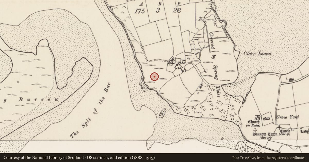 Ordnance Survey six-inch map, 2nd edition (1888–1915) covering the location of Castle - motte, Bannow Island, County Wexford, with a pin at the register's coordinates