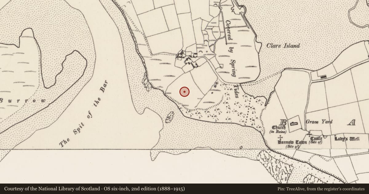 Ordnance Survey six-inch map, 2nd edition (1888–1915) covering the location of Church, Bannow Island, County Wexford, with a pin at the register's coordinates