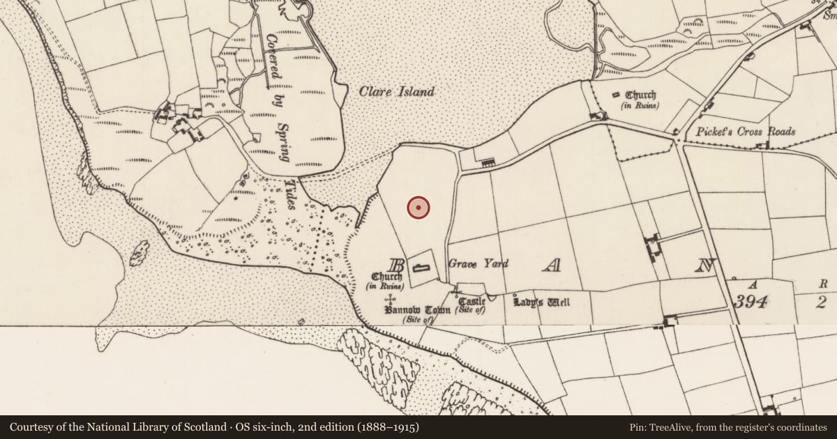 Ordnance Survey six-inch map, 2nd edition (1888–1915) covering the location of Historic town, Bannow, County Wexford, with a pin at the register's coordinates