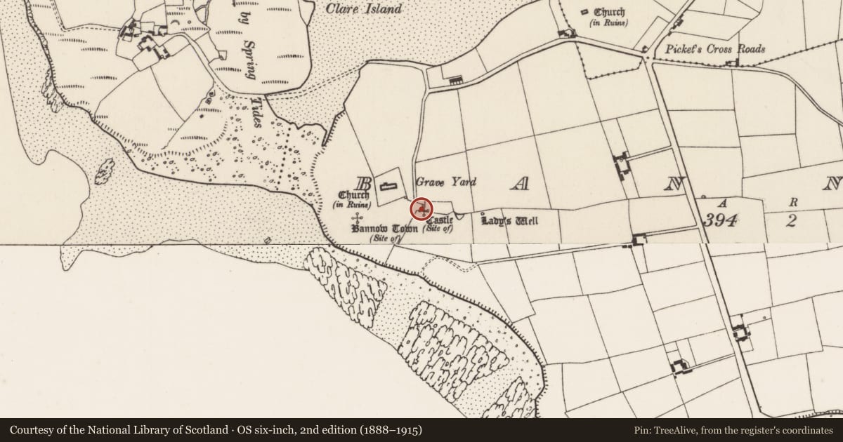 Ordnance Survey six-inch map, 2nd edition (1888–1915) covering the location of Castle - unclassified, Bannow, County Wexford, with a pin at the register's coordinates
