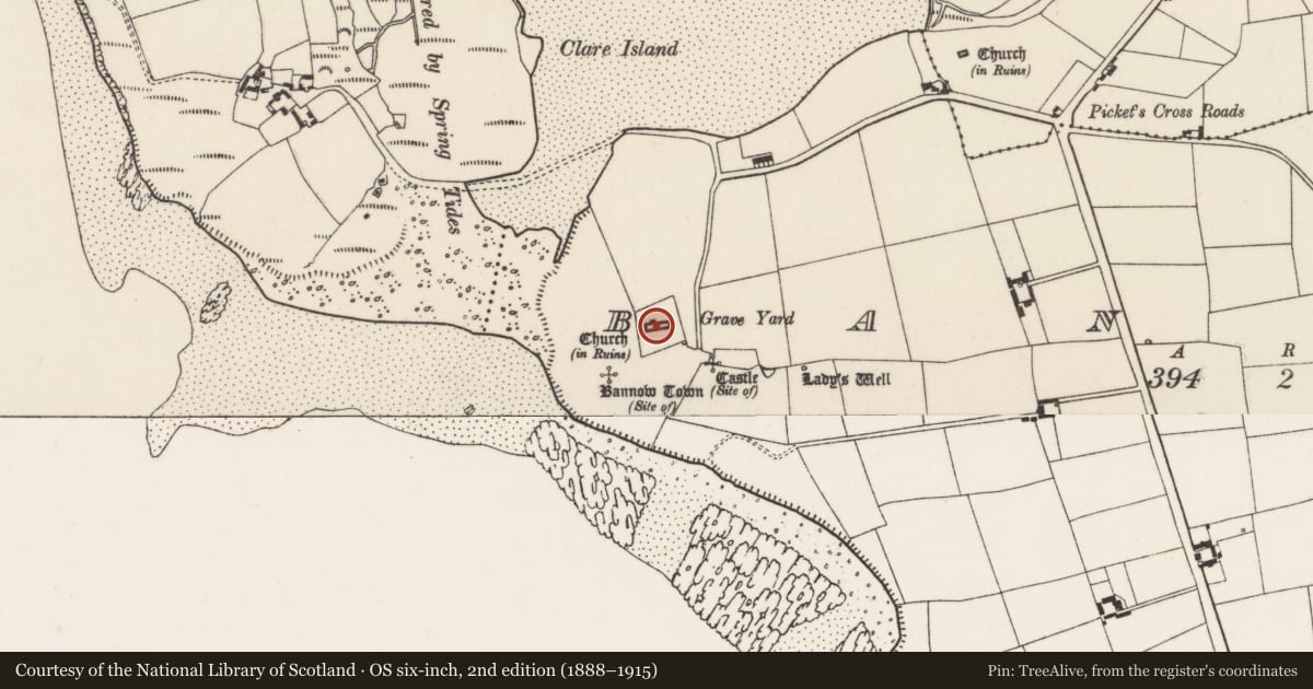 Ordnance Survey six-inch map, 2nd edition (1888–1915) covering the location of Graveslab, Bannow, County Wexford, with a pin at the register's coordinates