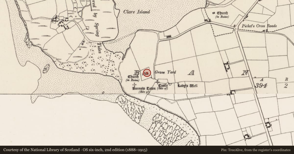 Ordnance Survey six-inch map, 2nd edition (1888–1915) covering the location of Graveslab, Bannow, County Wexford, with a pin at the register's coordinates
