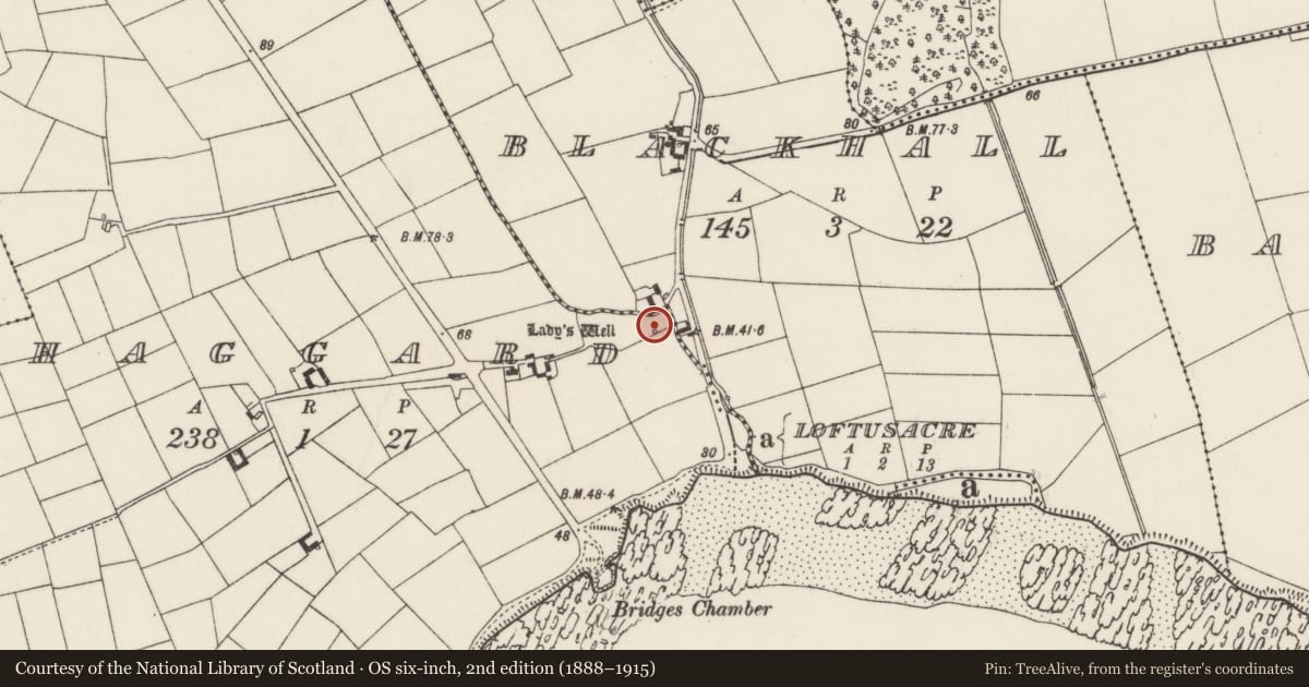 Ordnance Survey six-inch map, 2nd edition (1888–1915) covering the location of Ritual site - holy well, Haggard, County Wexford, with a pin at the register's coordinates