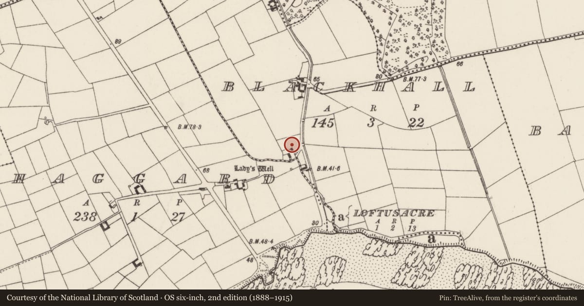 Ordnance Survey six-inch map, 2nd edition (1888–1915) covering the location of Church, Blackhall, County Wexford, with a pin at the register's coordinates