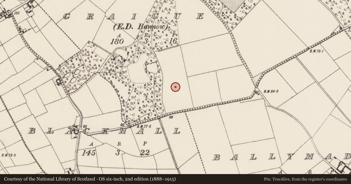 Ordnance Survey six-inch map, 2nd edition (1888–1915) covering the location of Field system, Graigue, County Wexford, with a pin at the register's coordinates