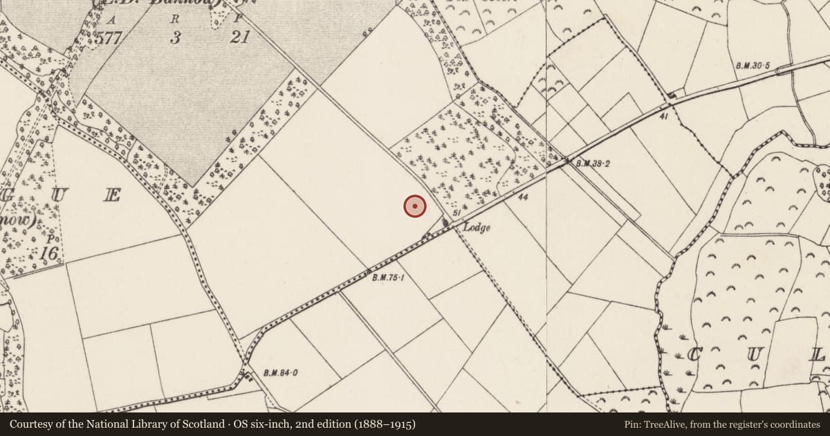Ordnance Survey six-inch map, 2nd edition (1888–1915) covering the location of Ringfort - rath, Grange, County Wexford, with a pin at the register's coordinates