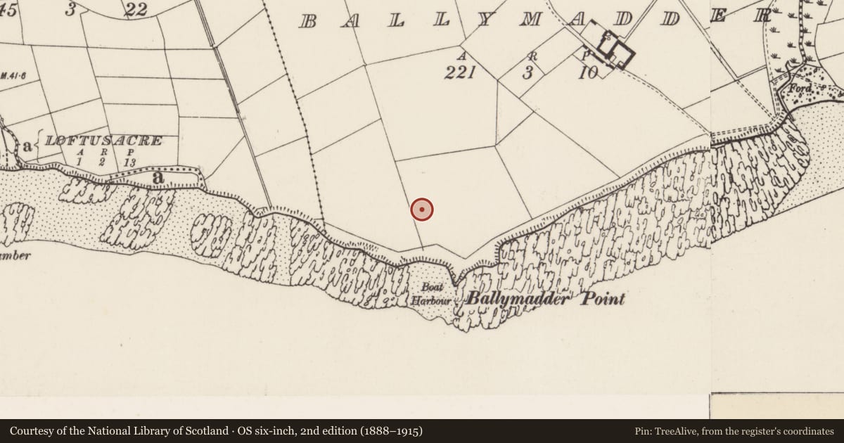 Ordnance Survey six-inch map, 2nd edition (1888–1915) covering the location of Ringfort - rath, Ballymadder, County Wexford, with a pin at the register's coordinates