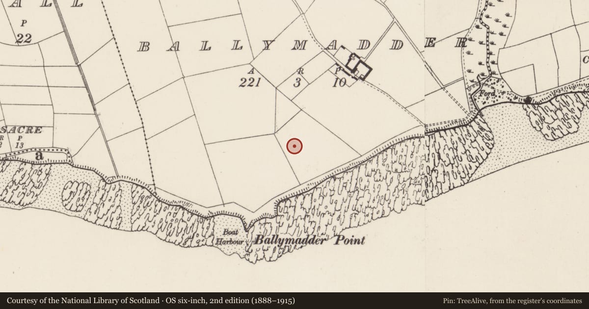 Ordnance Survey six-inch map, 2nd edition (1888–1915) covering the location of Ringfort - rath, Ballymadder, County Wexford, with a pin at the register's coordinates