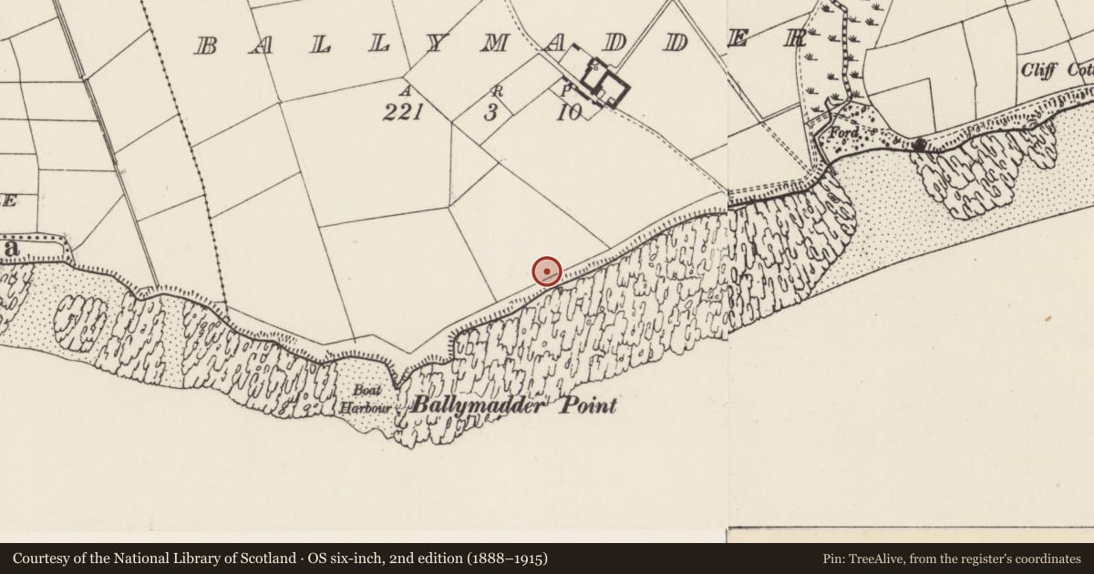 Ordnance Survey six-inch map, 2nd edition (1888–1915) covering the location of Ringfort - rath, Ballymadder, County Wexford, with a pin at the register's coordinates