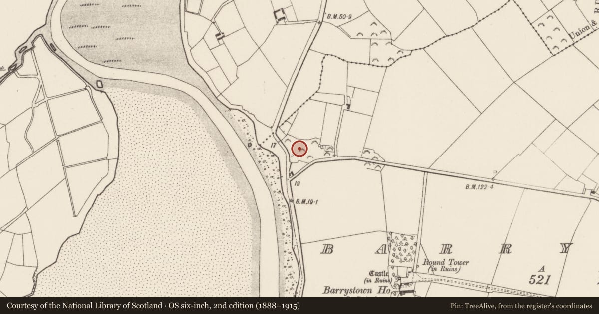 Ordnance Survey six-inch map, 2nd edition (1888–1915) covering the location of Mine, Barrystown, County Wexford, with a pin at the register's coordinates