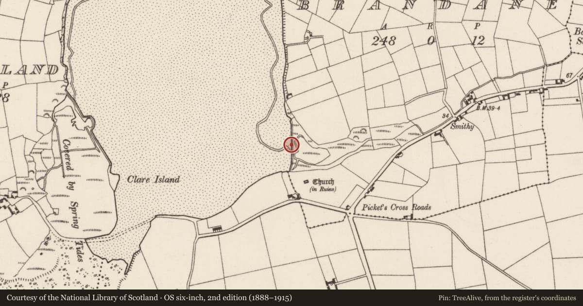 Ordnance Survey six-inch map, 2nd edition (1888–1915) covering the location of Tide mill - unclassified, Brandane, County Wexford, with a pin at the register's coordinates