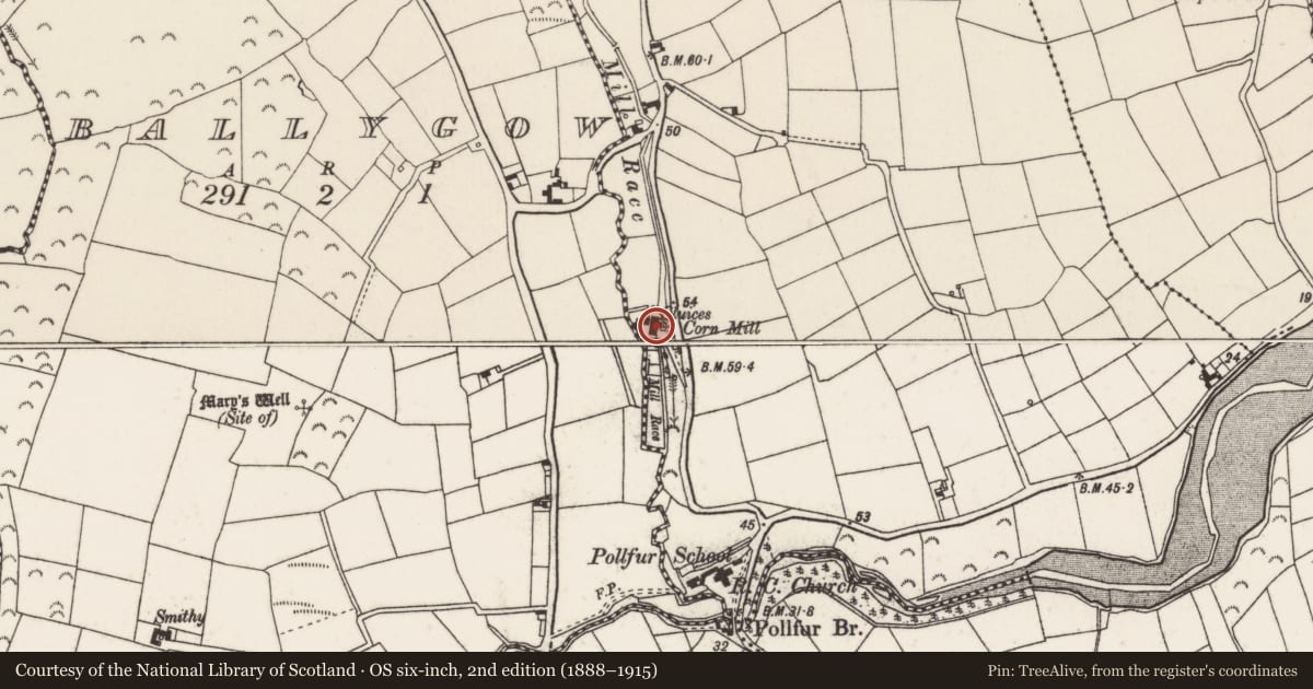 Ordnance Survey six-inch map, 2nd edition (1888–1915) covering the location of Mill - unclassified, Dungulph, County Wexford, with a pin at the register's coordinates