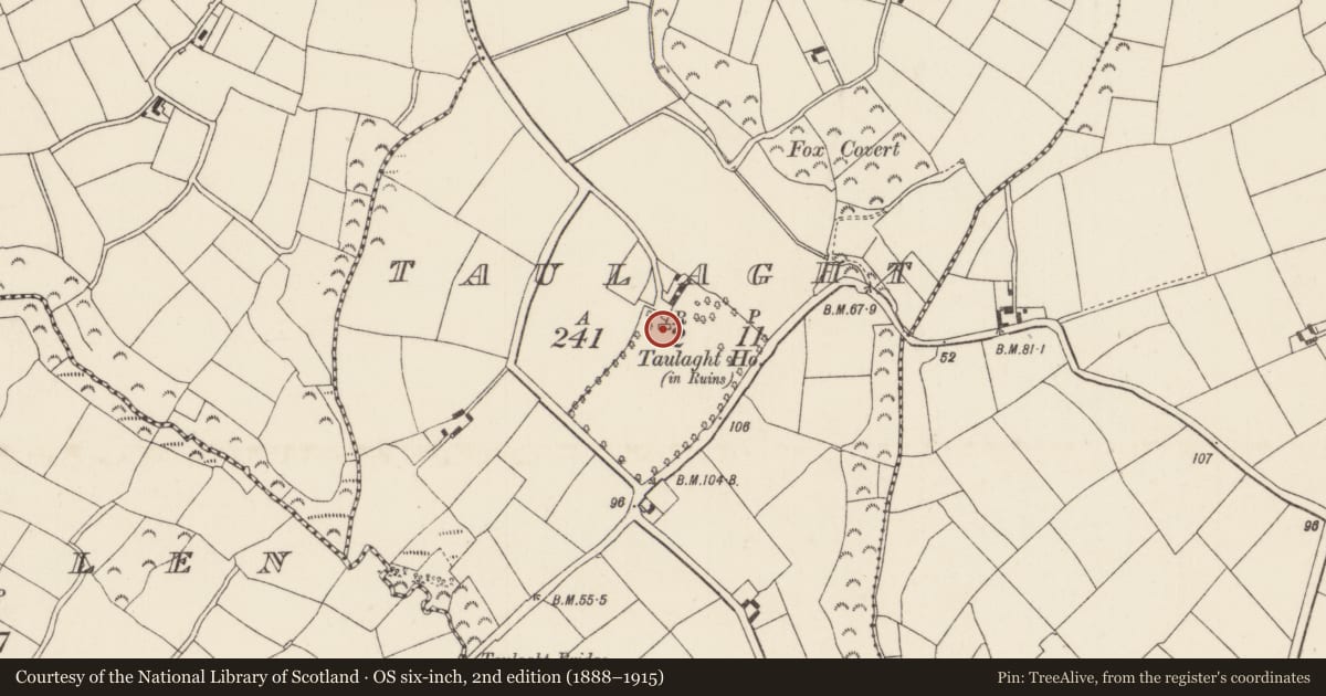 Ordnance Survey six-inch map, 2nd edition (1888–1915) covering the location of Church, Taulaght, County Wexford, with a pin at the register's coordinates