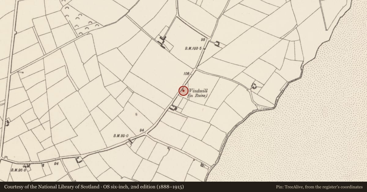Ordnance Survey six-inch map, 2nd edition (1888–1915) covering the location of Windmill, Clonmines, County Wexford, with a pin at the register's coordinates