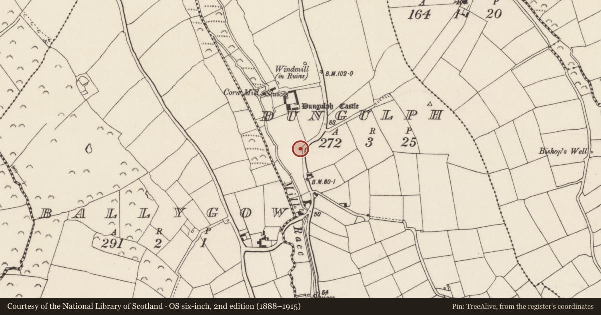 Ordnance Survey six-inch map, 2nd edition (1888–1915) covering the location of Burial ground, Dungulph, County Wexford, with a pin at the register's coordinates
