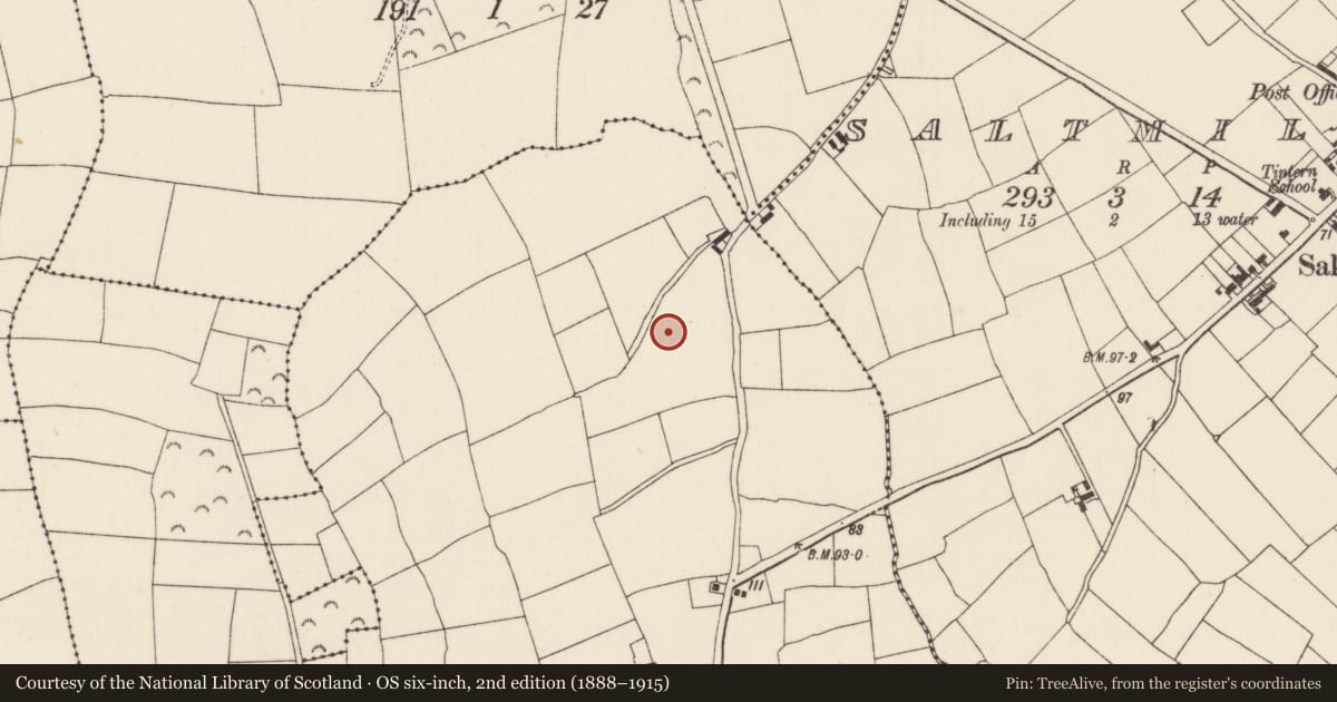 Ordnance Survey six-inch map, 2nd edition (1888–1915) covering the location of Ringfort - rath, Gorteens, County Wexford, with a pin at the register's coordinates