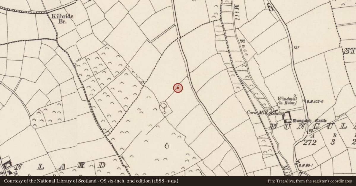 Ordnance Survey six-inch map, 2nd edition (1888–1915) covering the location of Enclosure, Ballygow, County Wexford, with a pin at the register's coordinates