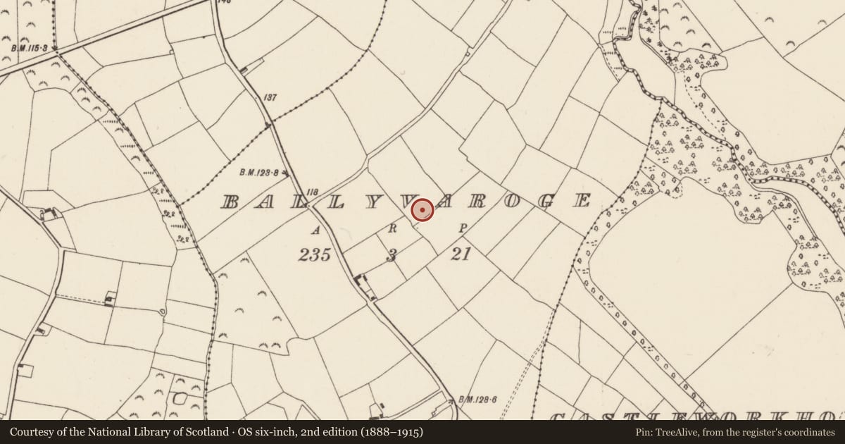 Ordnance Survey six-inch map, 2nd edition (1888–1915) covering the location of Ring-ditch, Ballyvaroge, County Wexford, with a pin at the register's coordinates